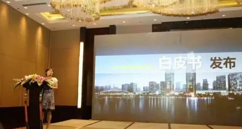 业内首份《轨道交通综合体白皮书》，今天免费发！