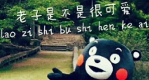 年度最in圣诞商圈，岛国网红@你